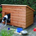 Animal Houses