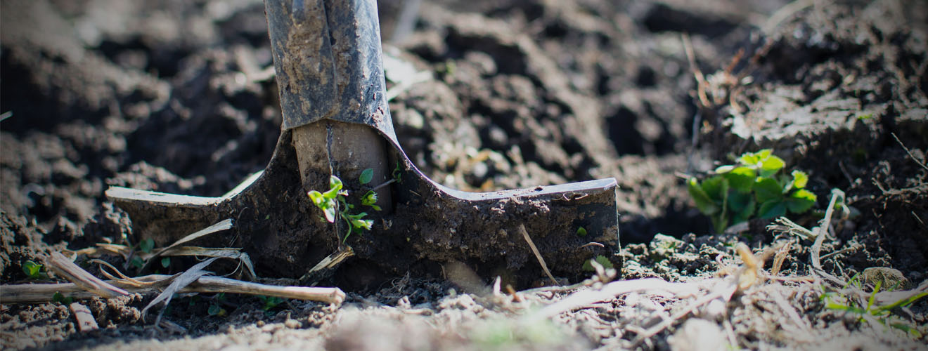 Strong, Durable Tools To Transform Your Garden