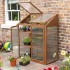 Hardwood Mini Greenhouse - Natural Timber