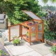Hardwood Mini Coldframe Greenhouse - Natural Timber