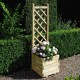 Square Planter & Lattice - Natural Timber