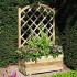 Rectangular Planter & Lattice - Natural Timber